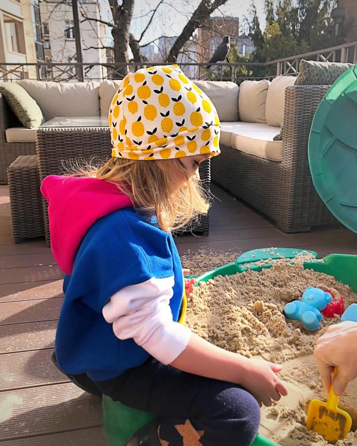 Beanie Hat in Little Kid: Stripes with Santa Penguins