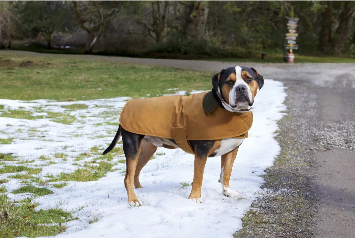 Carhartt® Dog Chore Coat - CTP0000505