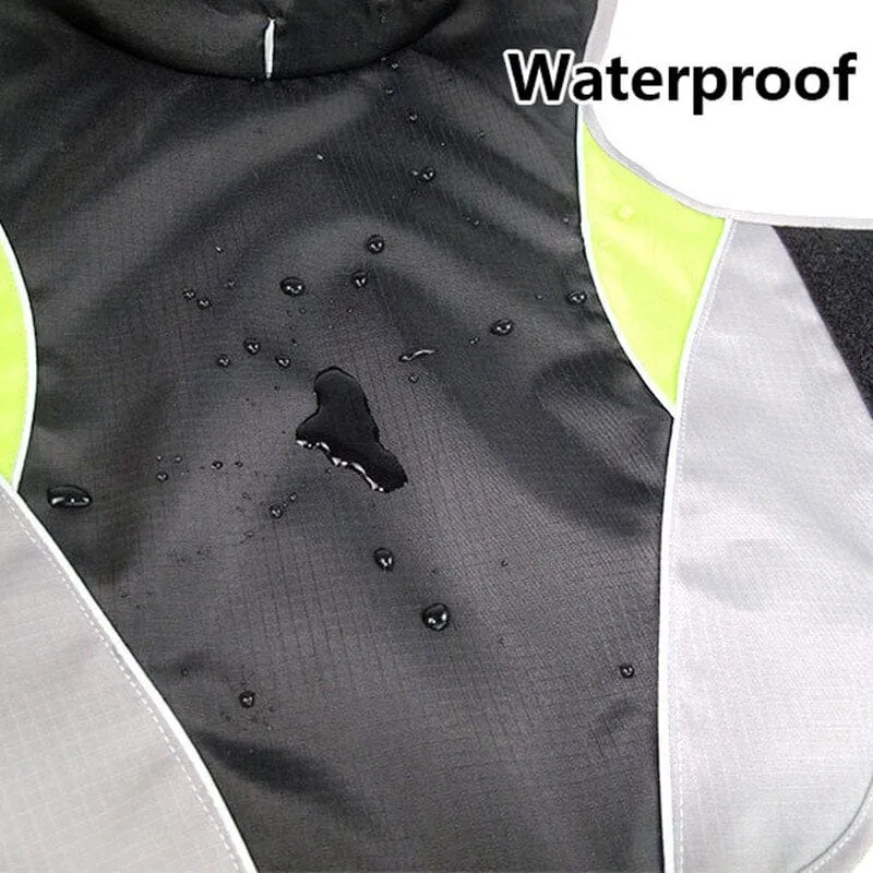 Cooper Waterproof Dachshund Jacket