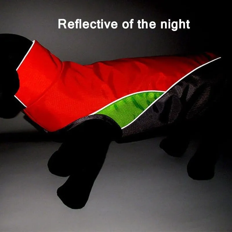 Cooper Waterproof Dachshund Jacket