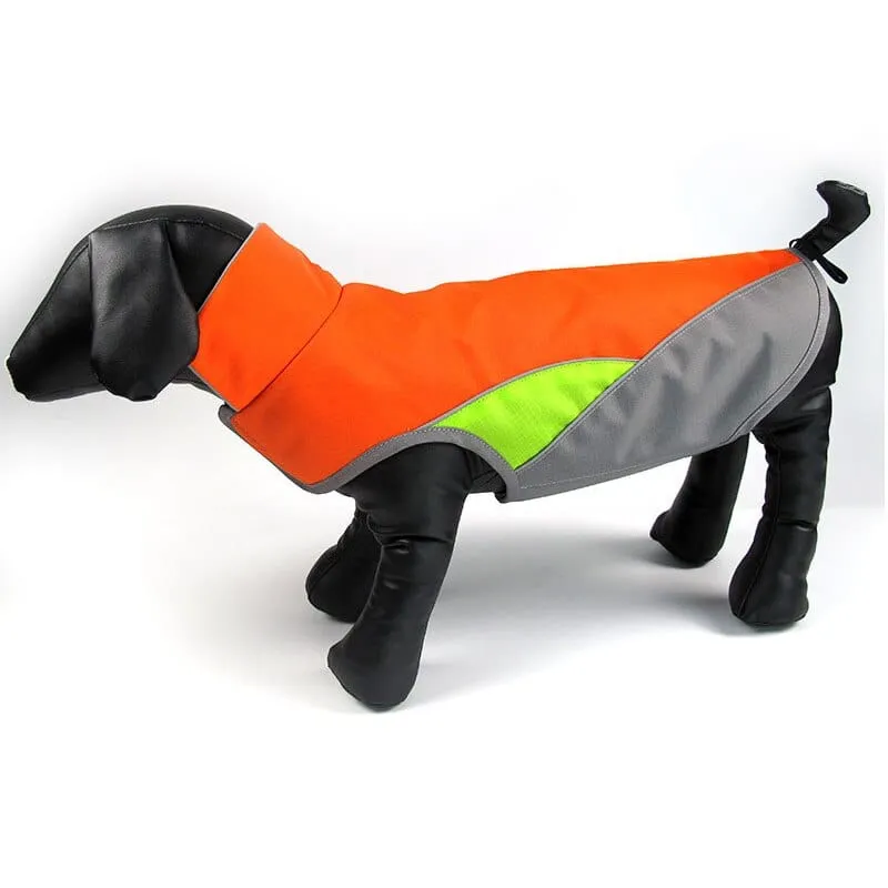 Cooper Waterproof Dachshund Jacket