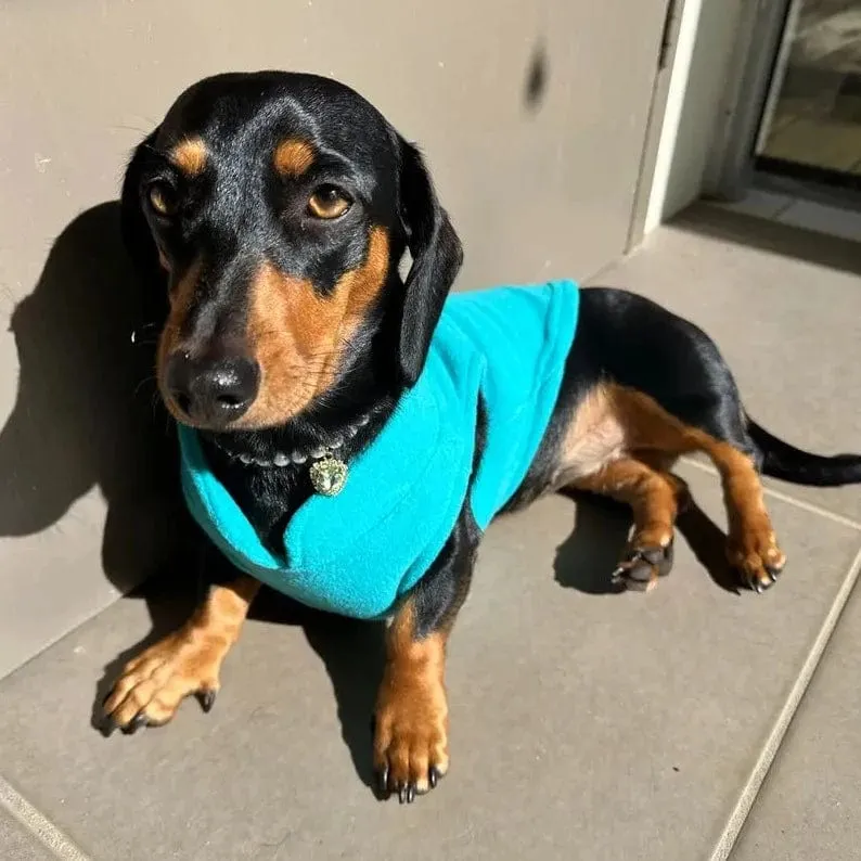 Fleece Dachshund Jacket