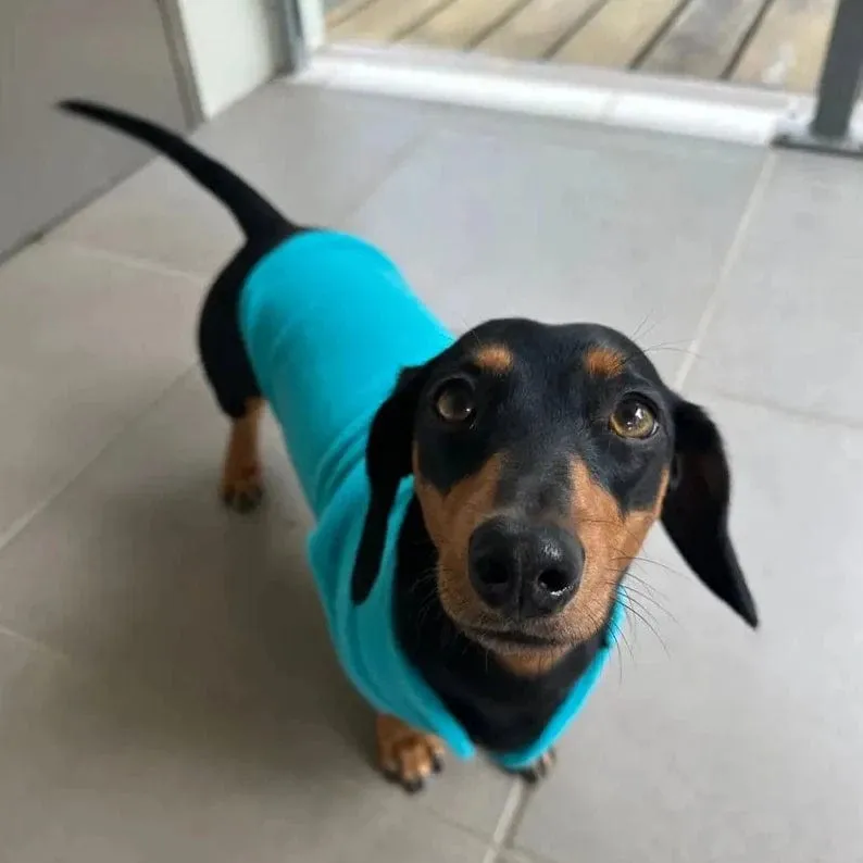 Fleece Dachshund Jacket