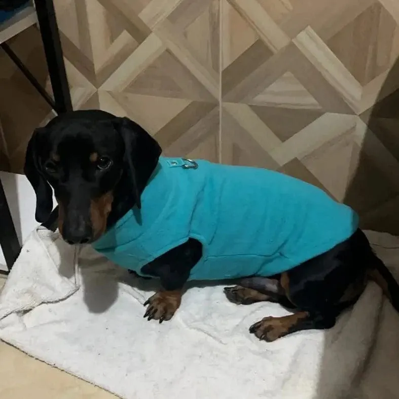 Fleece Dachshund Jacket