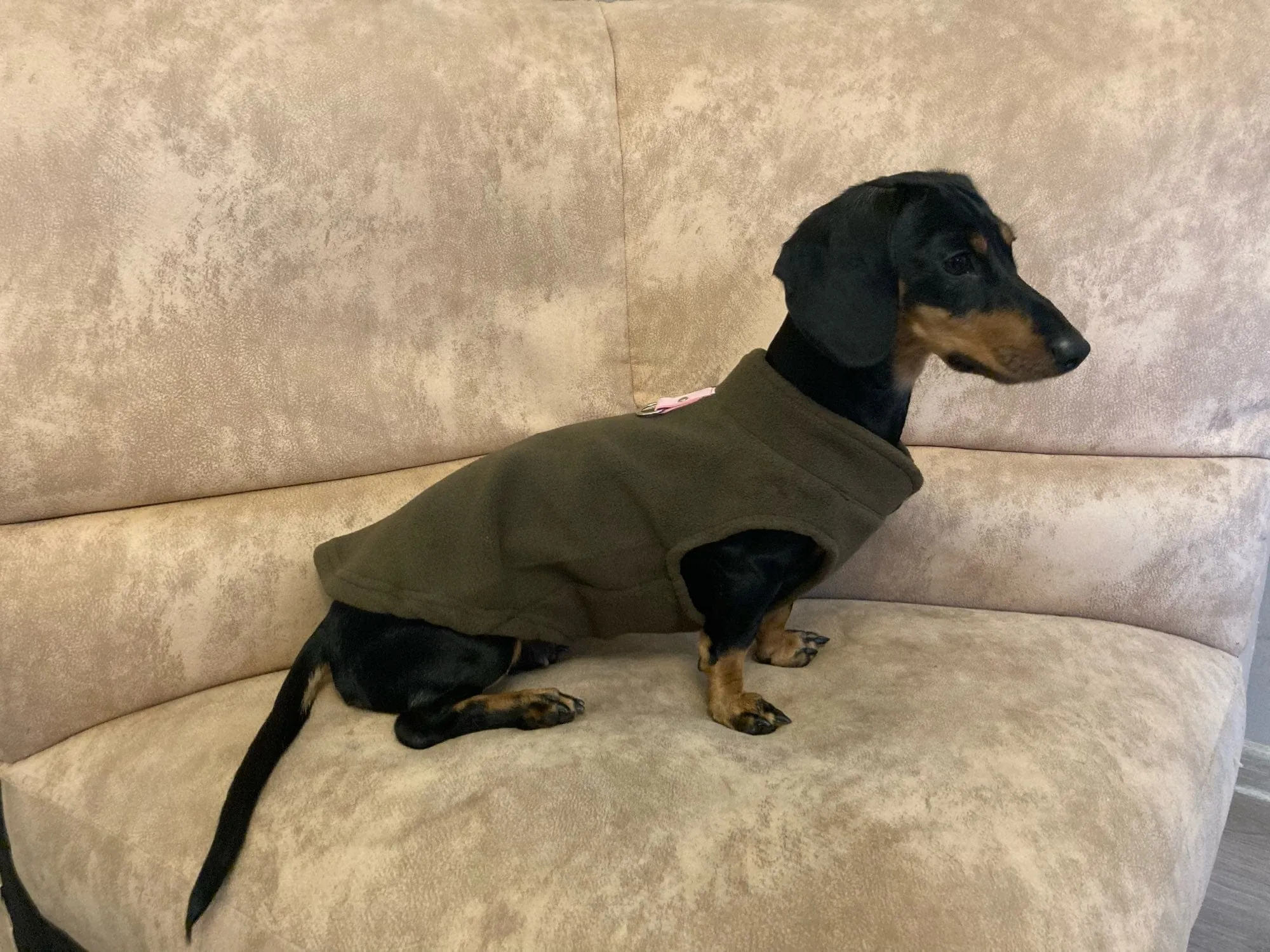 Fleece Dachshund Jacket