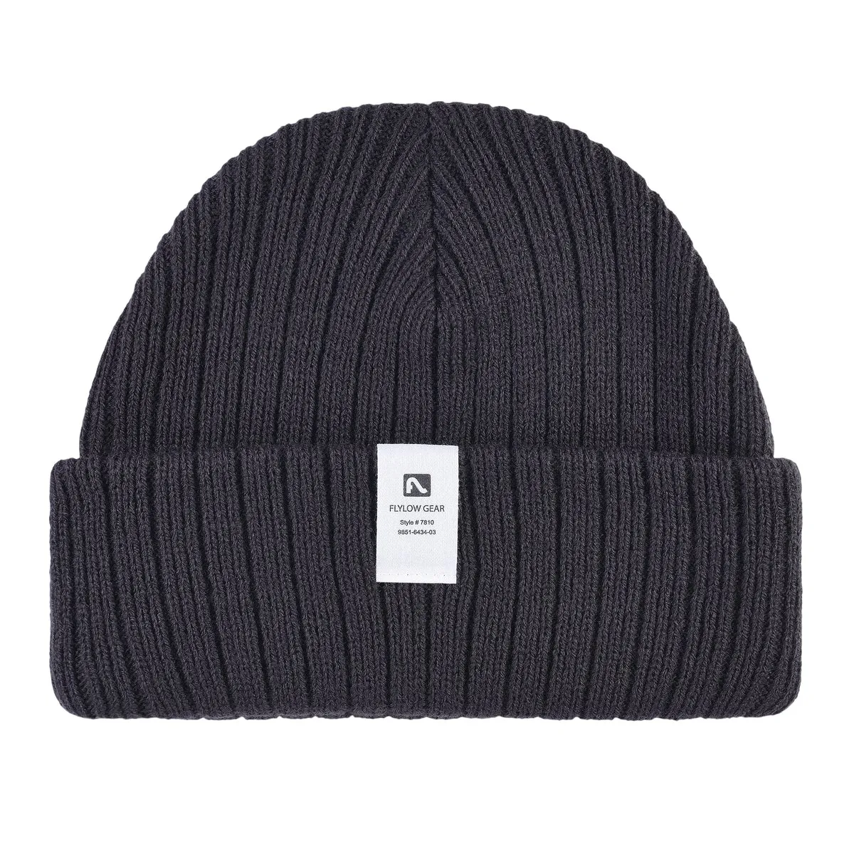 Forecaster Beanie