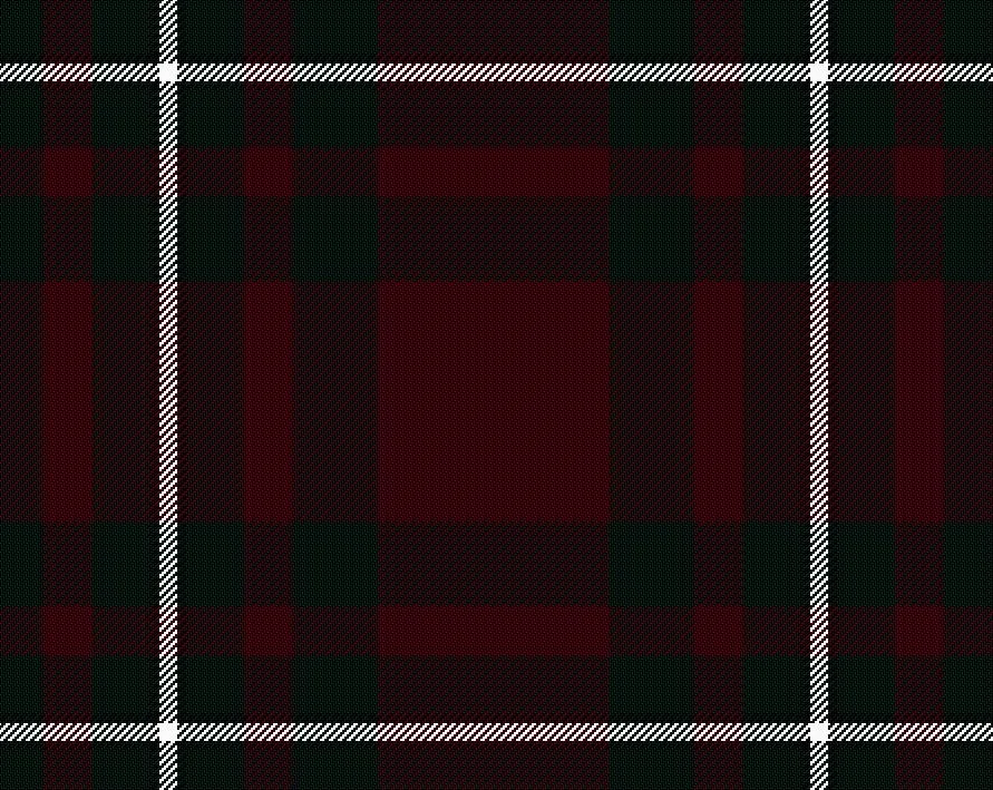 MacGregor Hunting Modern Tartan Scarf