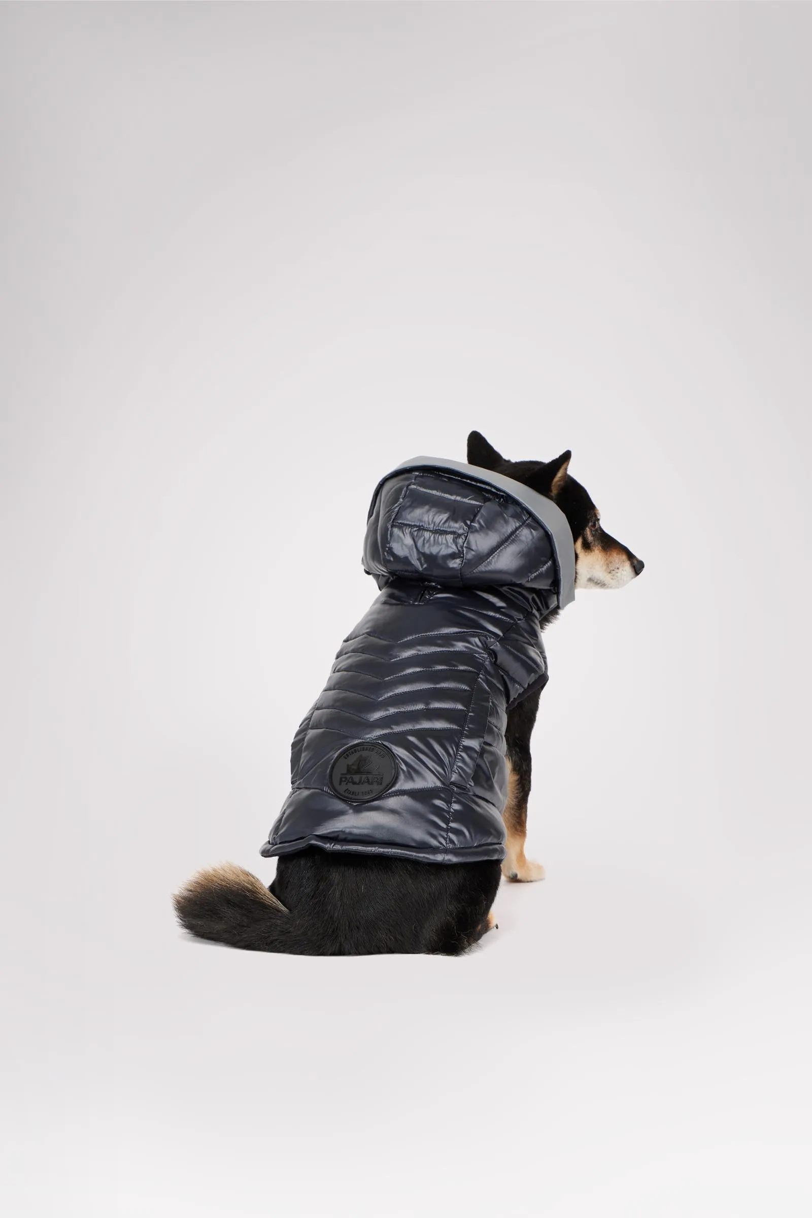 Miles Quilted Coat with reflective Visor for Dogs