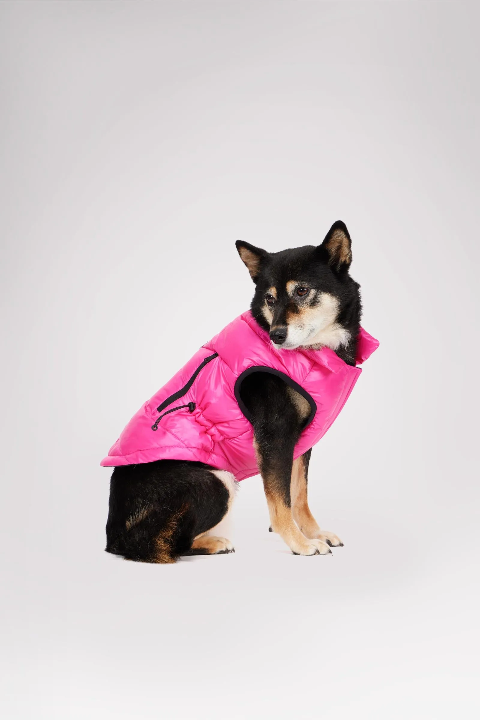 Rosie Quilted Coat w/cinched waist for Dogs