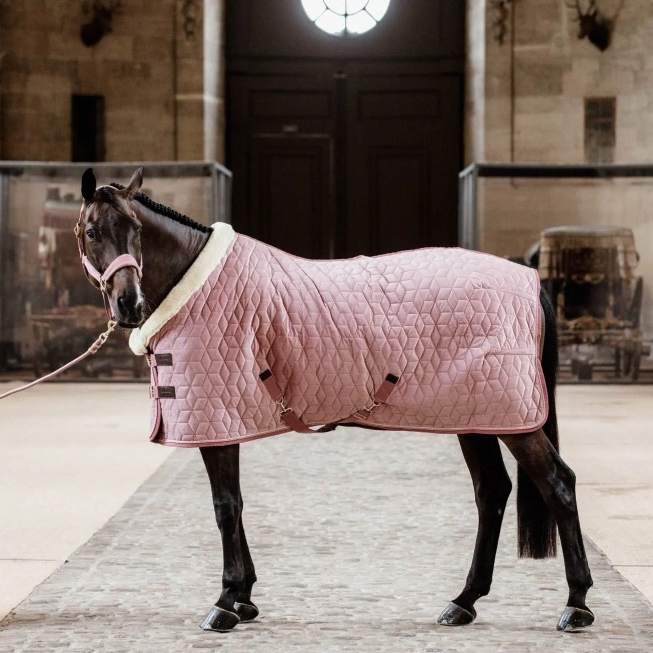 Show Rug Velvet Old Rose Limited Edition