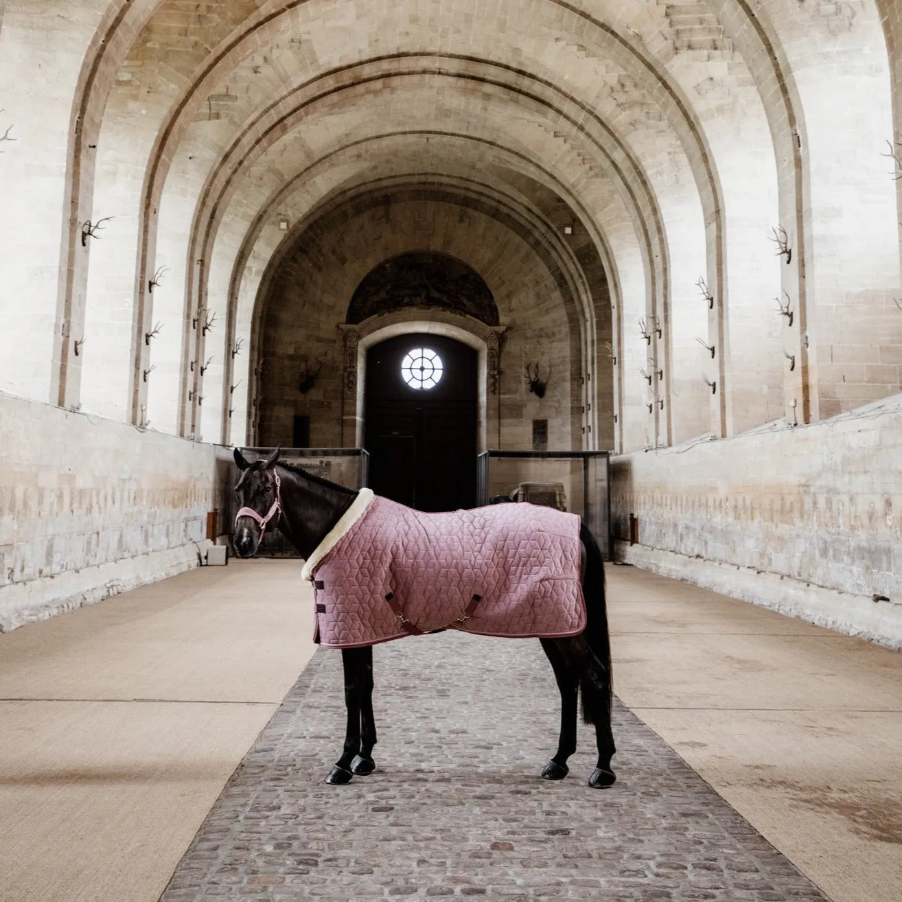 Show Rug Velvet Old Rose Limited Edition