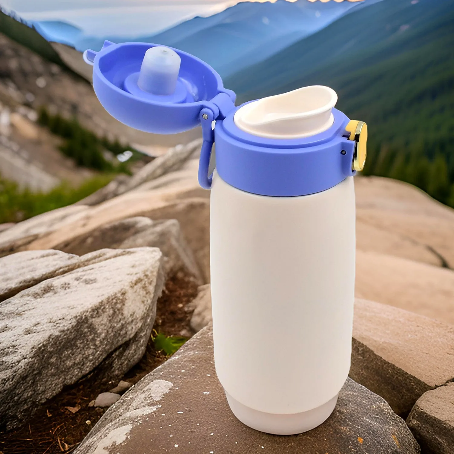 Smart Vacuum Insulated Water Bottle With LED Temperature Display (420 ML)