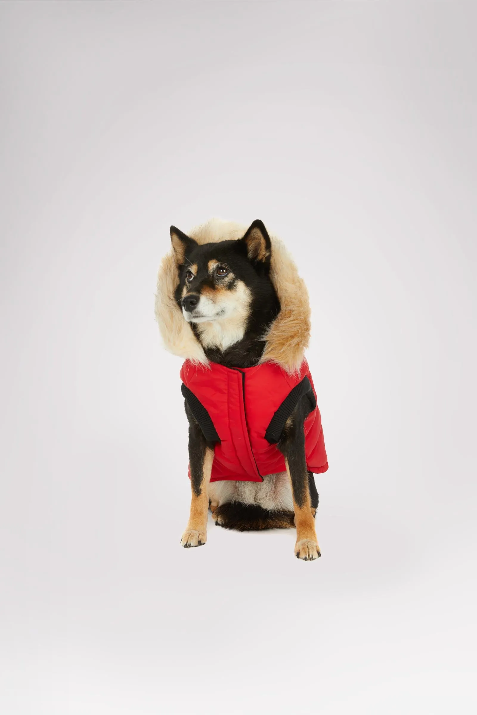 Toby Jacket for Dogs